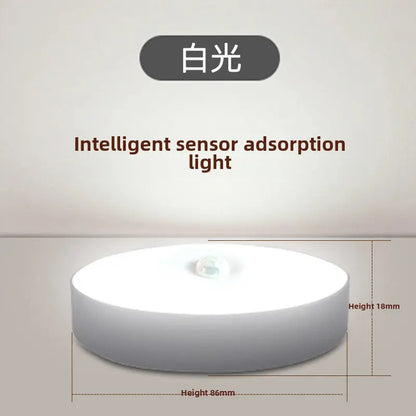 LED Smart Human Body Induction Light | Motion Sensor Activated Lighting PRO GADGETS